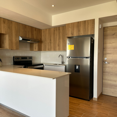 Apartamento en Renta en Zona 9