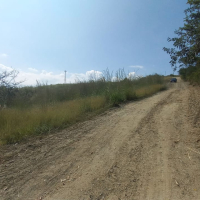 WhatsApp Image 2025-05-08 at 9.21.00 PM