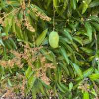 WhatsApp Image 2026-02-16 at 10.08.32 AM (3)