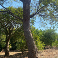 WhatsApp Image 2026-02-16 at 10.08.34 AM (2)