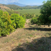 WhatsApp Image 2026-02-16 at 10.08.35 AM