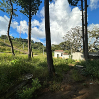 f130fa2f-980c-4377-a9da-c338b911289f