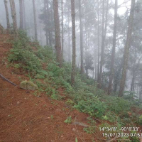 IMG-20230715-WA0011(1)