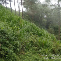 IMG-20230715-WA0023(1)