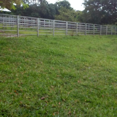 Hermosa finca de 102 Manzanas en Guazacapan Santa Rosa