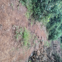 inbound4953628310691006919