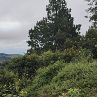 inbound6475186059672036799