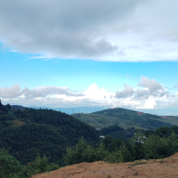 inbound6897127279802950760