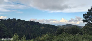 Katlin Sian - avatar